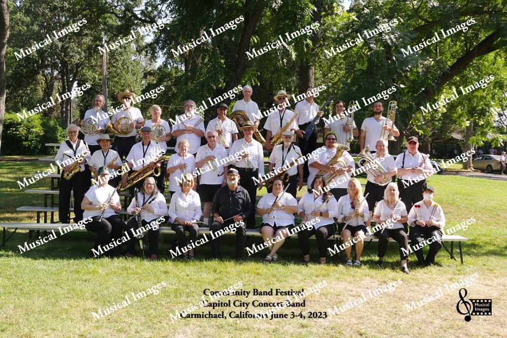Musical Images
